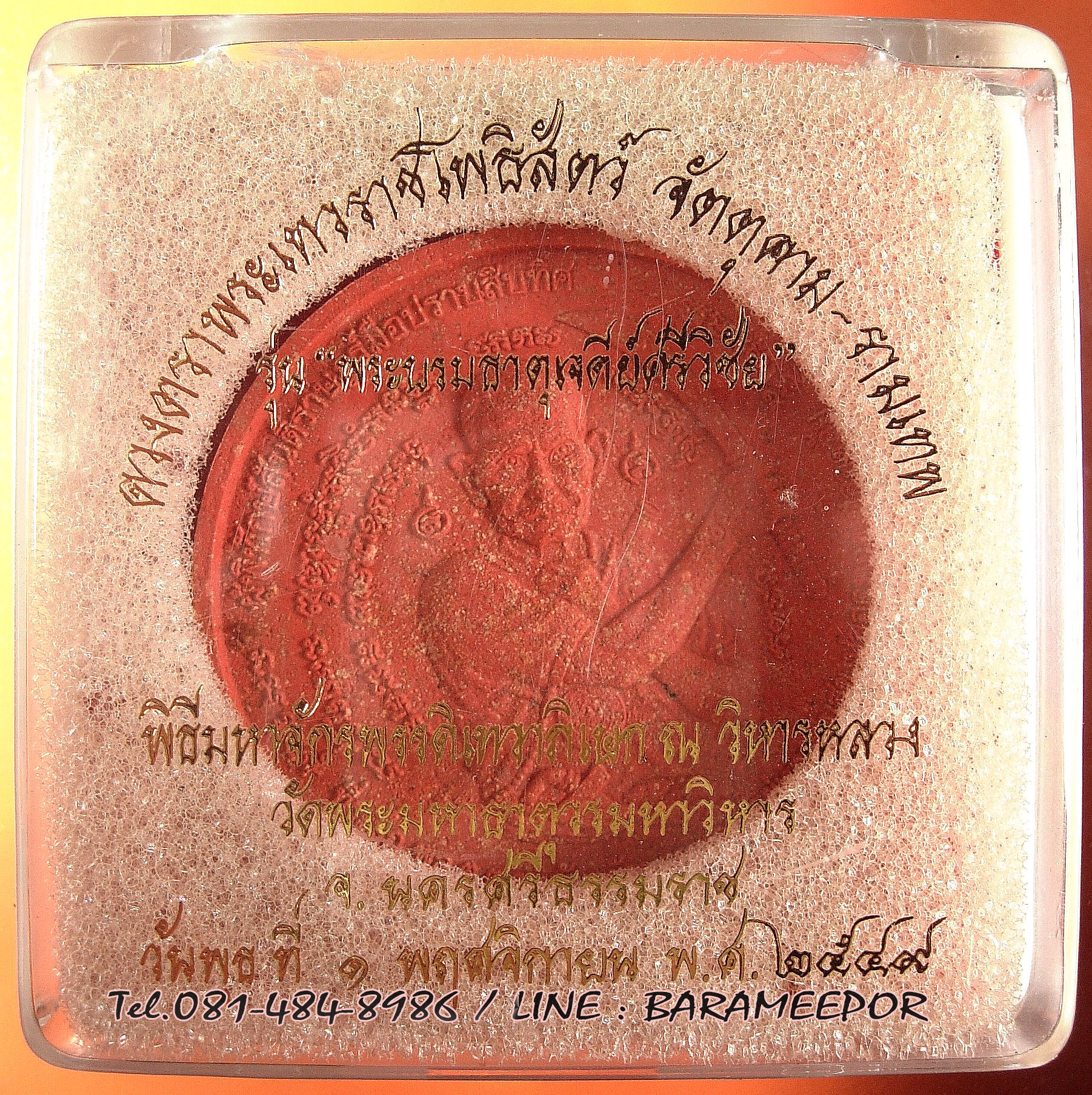 ว่านกลม ขุนพันธ์ มือปราบสิบทิศ เนื้อว่านแดง ขนาด 5 ซม.