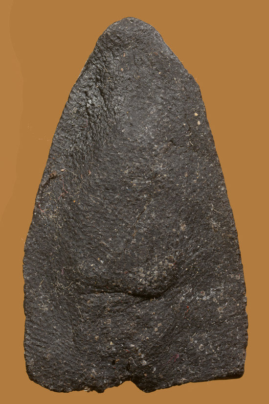 หลวงพ่อทวด พิมพ์ใหญ่ เนื้อว่าน พ่อท่านพล วัดนาประดู่ พ.ศ.2535