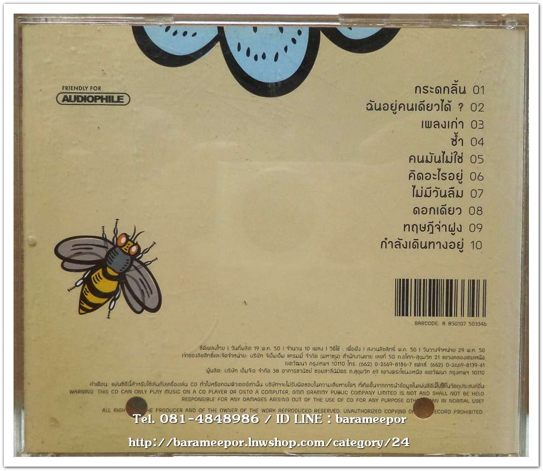 ป้าง นครินทร์ กิ่งศักดิ์ ชุด ดอกเดียว