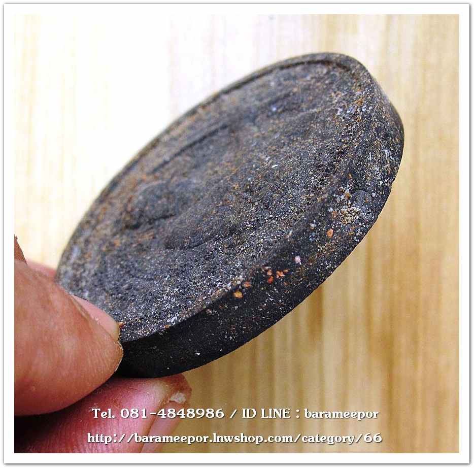 ว่านกลม ขุนพันธ์ มือปราบสิบทิศ เนื้อว่านดำ ขนาด 5 ซม. .2