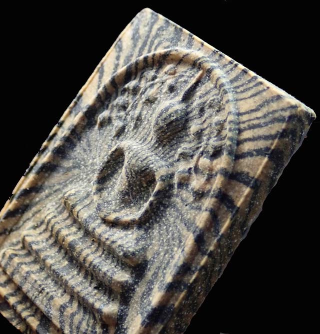 พระสมเด็จปรกโพธิ์หลวงพ่อแพ วัดพิกุลทอง จ.สิงห์บุรี เนื้อผงลาย