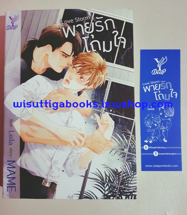 Love Storm พายุรักโถมใจ โดย MAME