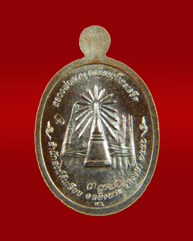เหรียญเม็ดแตง (ฟักทอง) หลวงพ่อทวด ปาฏิหาริย์ สำนักสงฆ์ต้นเลียบ ปี2556 เนื้อทองแดงมันปู