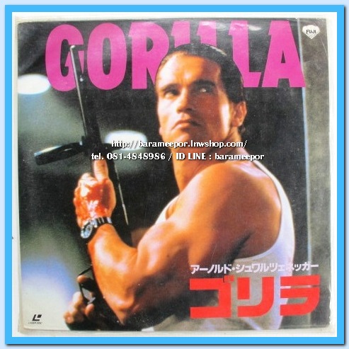 GORILA..L40