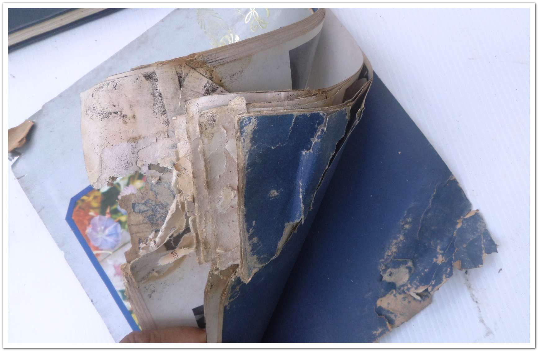 หนังสือ ที่ระลึกเนื่องในโอกาสครบรอบ 25 ปี วันราชาภิเษกสมรส