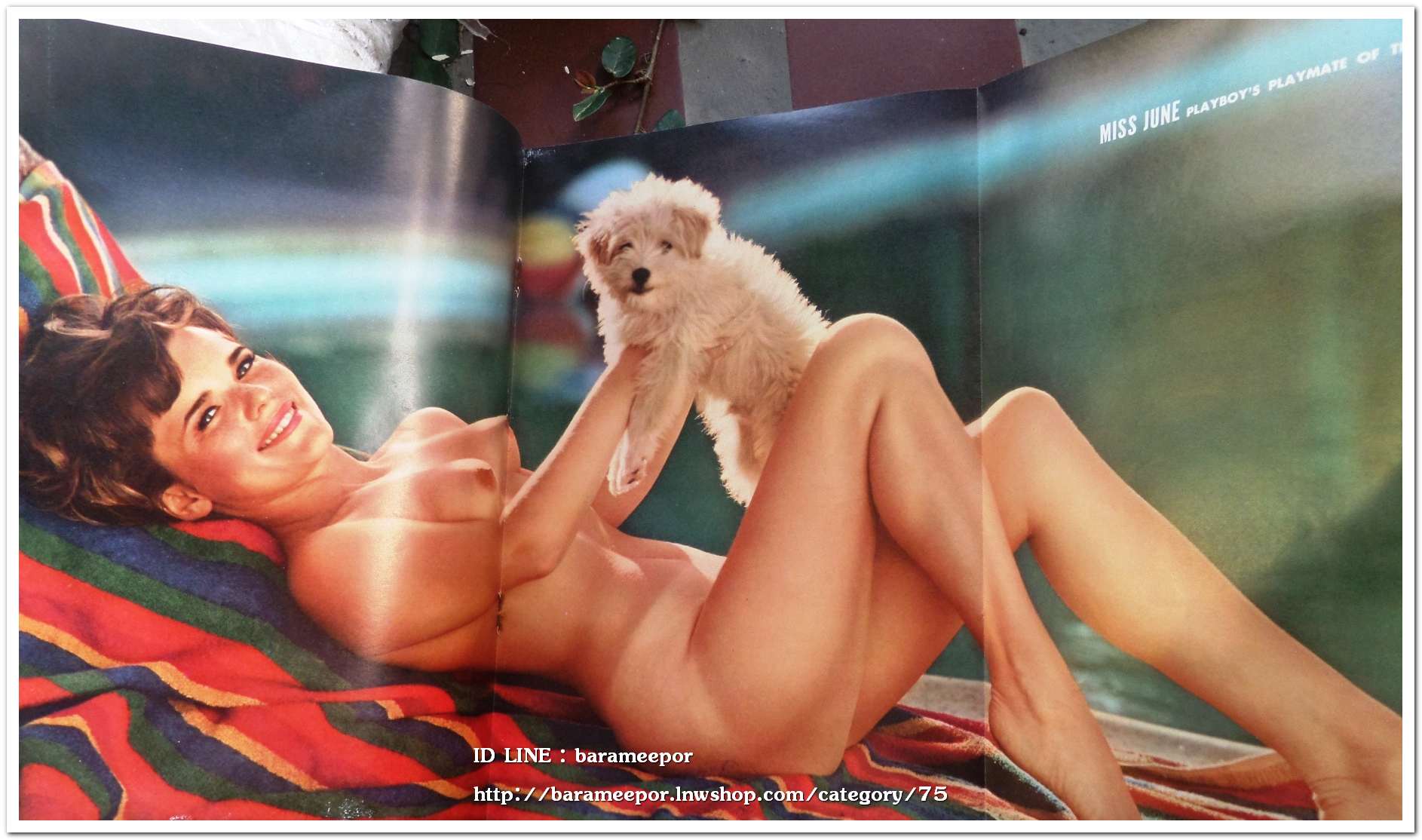 นิตยสาร PLAYBOY JUNE 1966 สภาพดี เก่าเก็บ