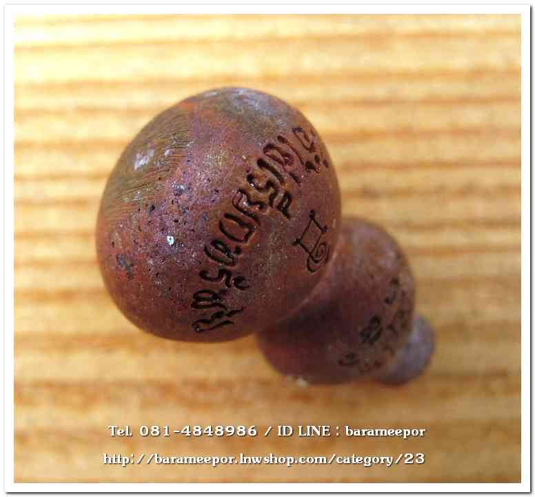 น้ำเต้าไอ้ไข่เรียกทรัพย์ พิธีพุทธาภิเษกสรงน้ำ 63 วัดเจดีย์ เนื้อทองผสมสูตรโบราณ (พิมพ์เล็ก)