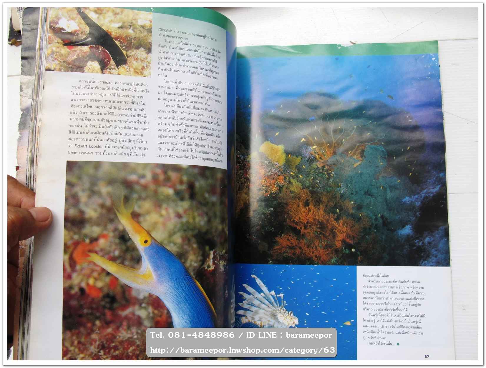 A35 หนังสือรถ NISSAN MAGAZINE