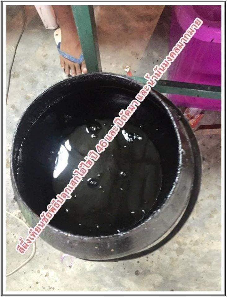 ไอ้ไข่ เด็กวัดเจดีย์ รุ่นที่ระลึกกฐิน ๕๙ องค์บูชาไม้แกะทาทองแท้ ขนาด 6 นิ้ว