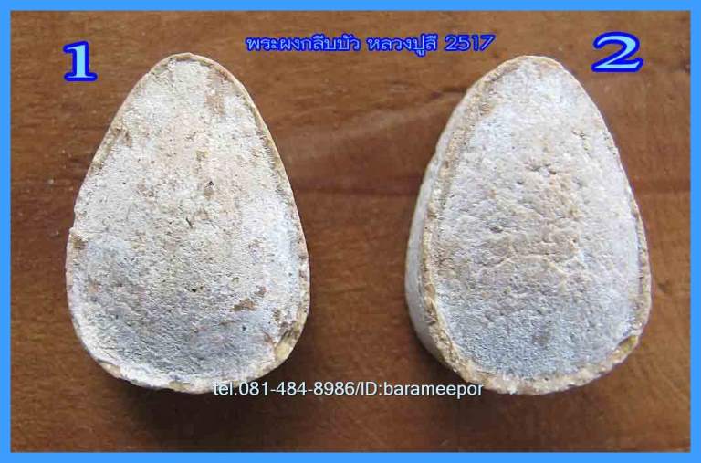 พระเนื้อผงกลีบบัว หลวงปู่สี ฉันทสิริ ปี 2517