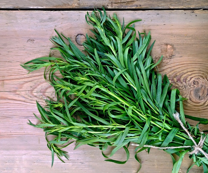ทาร์รากอน - Tarragon