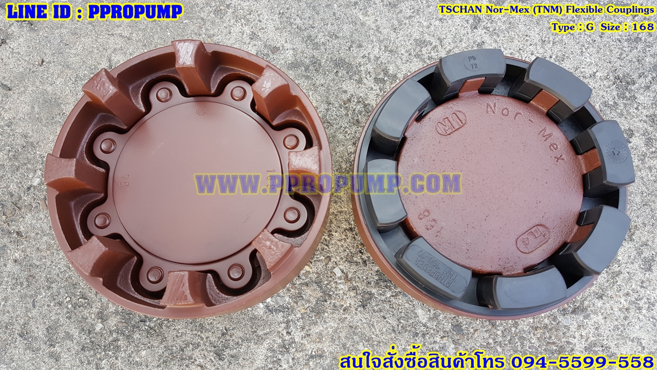 TSCHAN Nor-Mex Flexible Couplings Size : 168 Type : G
