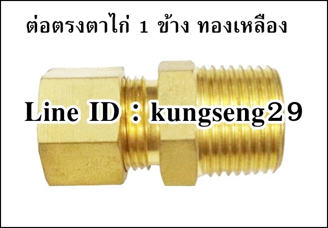 ต่อตรงเกลียวตาไก่ ทองเหลือง