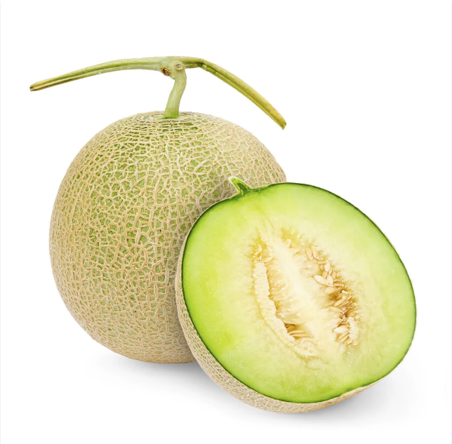 เมล็ดพันธุ์ เมล่อน อิชิบะโควจิ Ichiba Kouji F1 Melon
