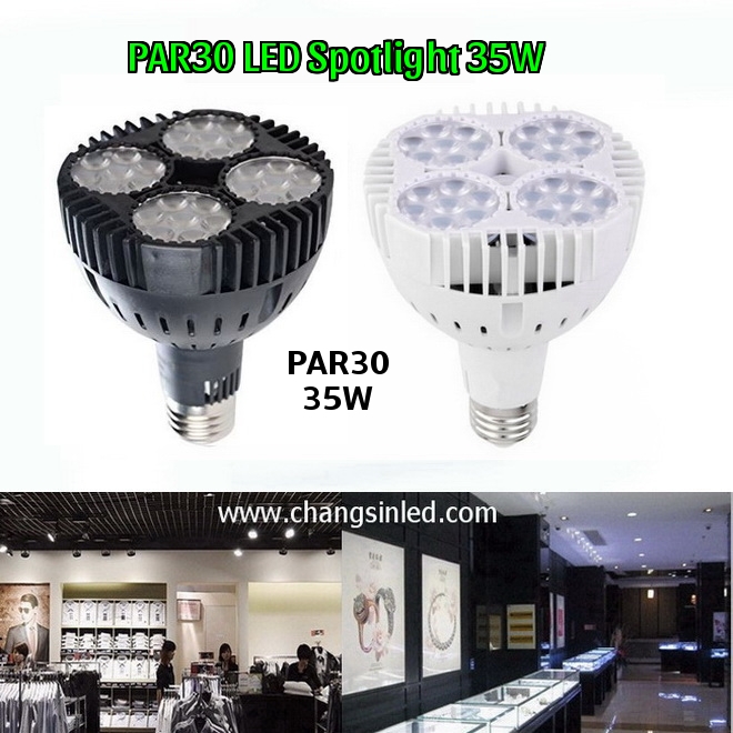 หลอดไฟ PAR30 LED Spotlight 35W