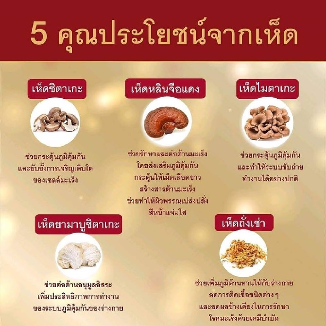 LINGZHI SUN หลินจือ ซัน LINGZHI SUN หลินจือ ซัน