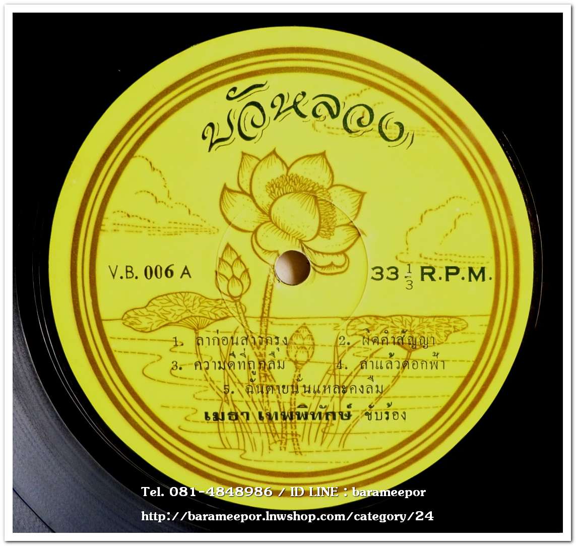 เมธา เทพพิทักษ์ ชุด ลาก่อนสาวกรุง/ลัดดาวัลย์ ประวัติวงศ์ ชุด ส่วนเกินของโลก