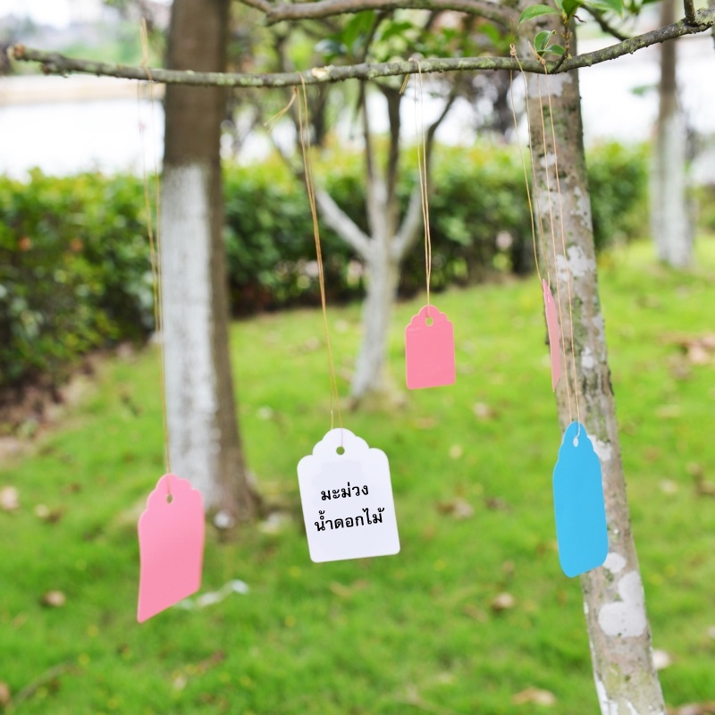 ป้ายชื่อพลาสติก แบบแขวน 3x4.5 cm. มัดละ 100 ชิ้น คละสี