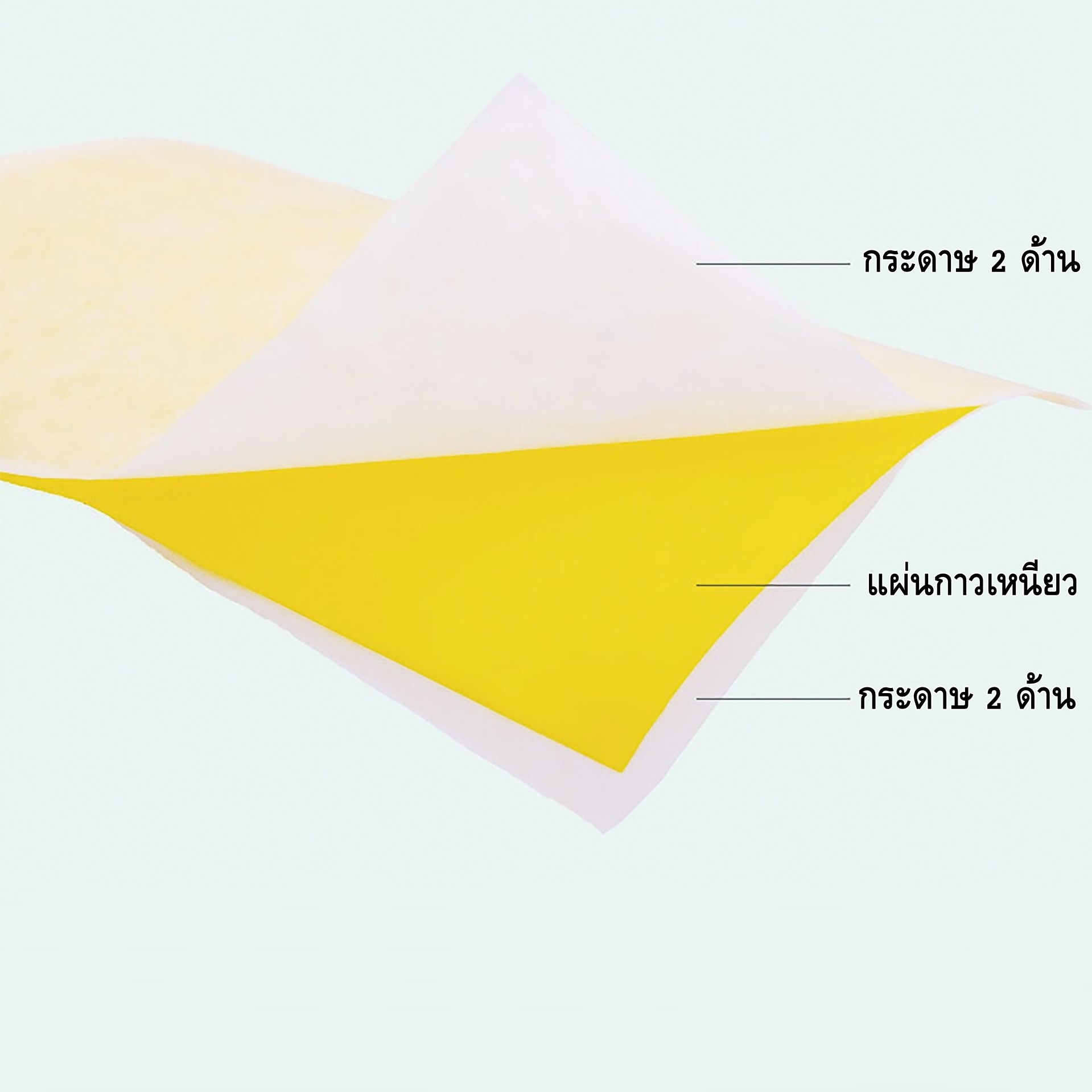 แผ่นกาวดักแมลง ขนาด 15x20 cm 100 แผ่น