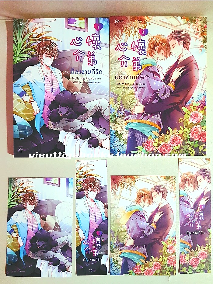 น้องชายที่รัก (2 เล่มจบ+ที่คั่น+โปสการ์ดครบ) Molly เขียน , ธมน แปล