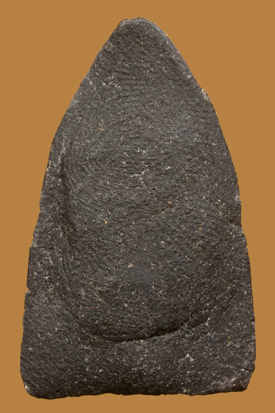 หลวงพ่อทวด พิมพ์ใหญ่ เนื้อว่าน พ่อท่านพล วัดนาประดู่ พ.ศ.2534