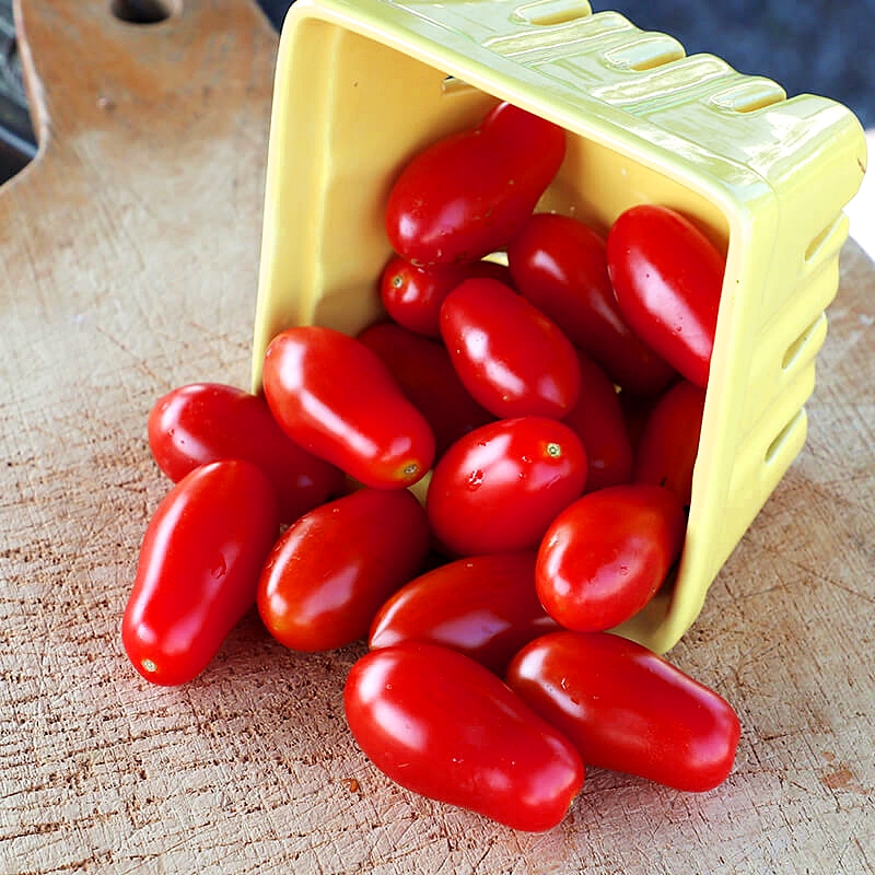 เมล็ดพันธุ์ มะเขือเทศ มาร์ซิโต้ Marzito F1 Tomato Seed