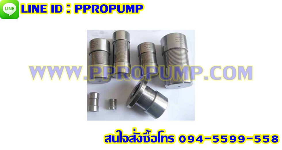 ยอย - BAUMANN FLEX Coupling