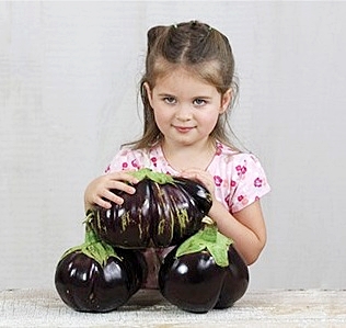 มะเขือยักษ์ แอสแวด - Aswad Giant Eggplant