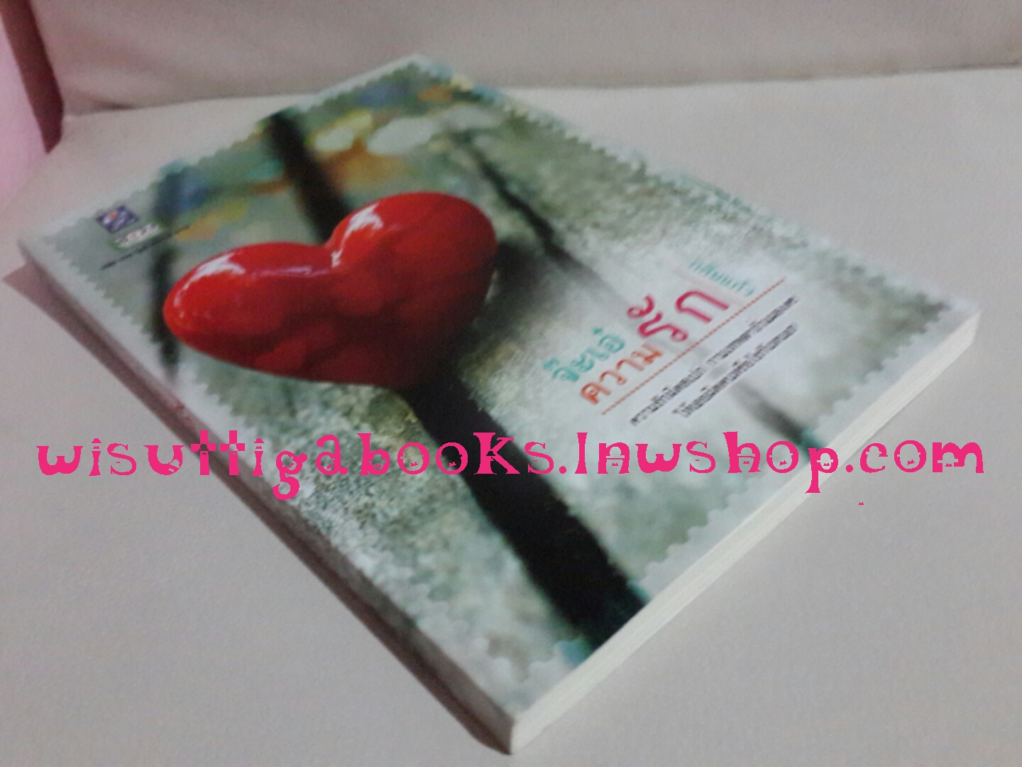 จ๊ะเอ๋..ความรัก โดย กลิ่นแก้ว