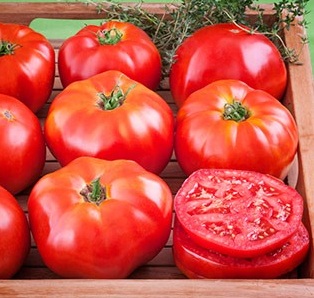 (Whole 1 Oz.) มะเขือเทศสเต็กสีแดง - Red Beefsteak Tomato