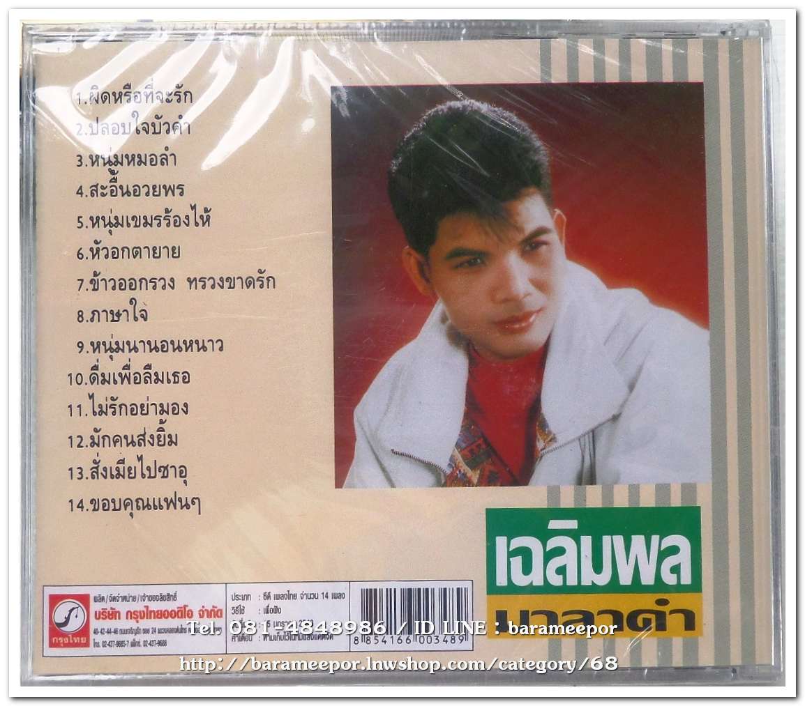 เฉลิมพล มาลาคำ ชุด ผิดหรือที่จะรัก