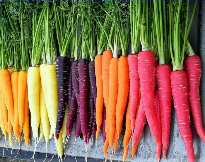 (Whole 1 Oz) แครอทคละสี - Rainbow Blend Carrot