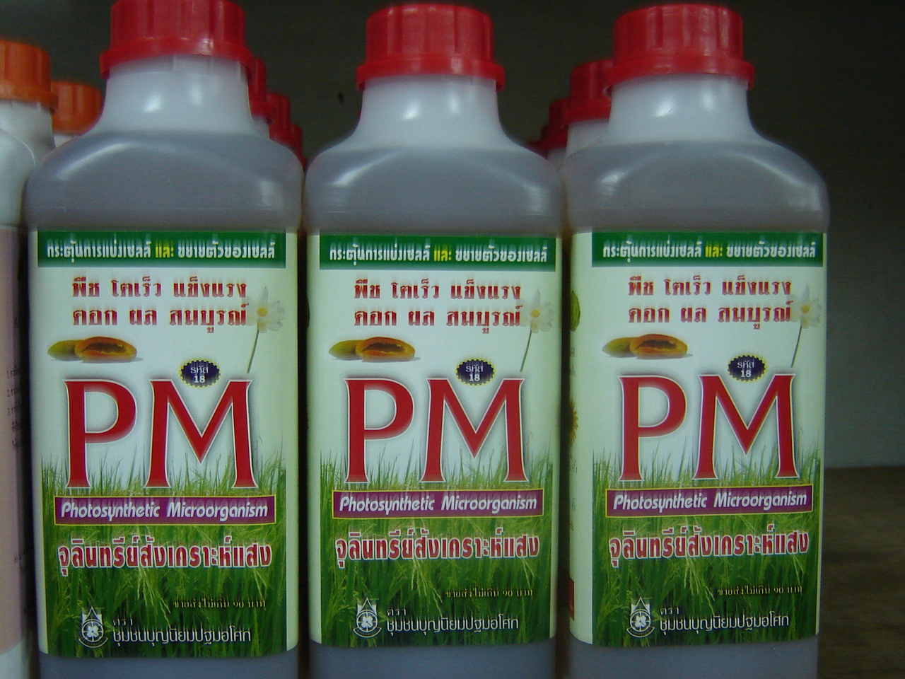 67-101-8100-0 จุลินทรีย์สังเคราะห์แสง 1ลิตร ปฐมฯ