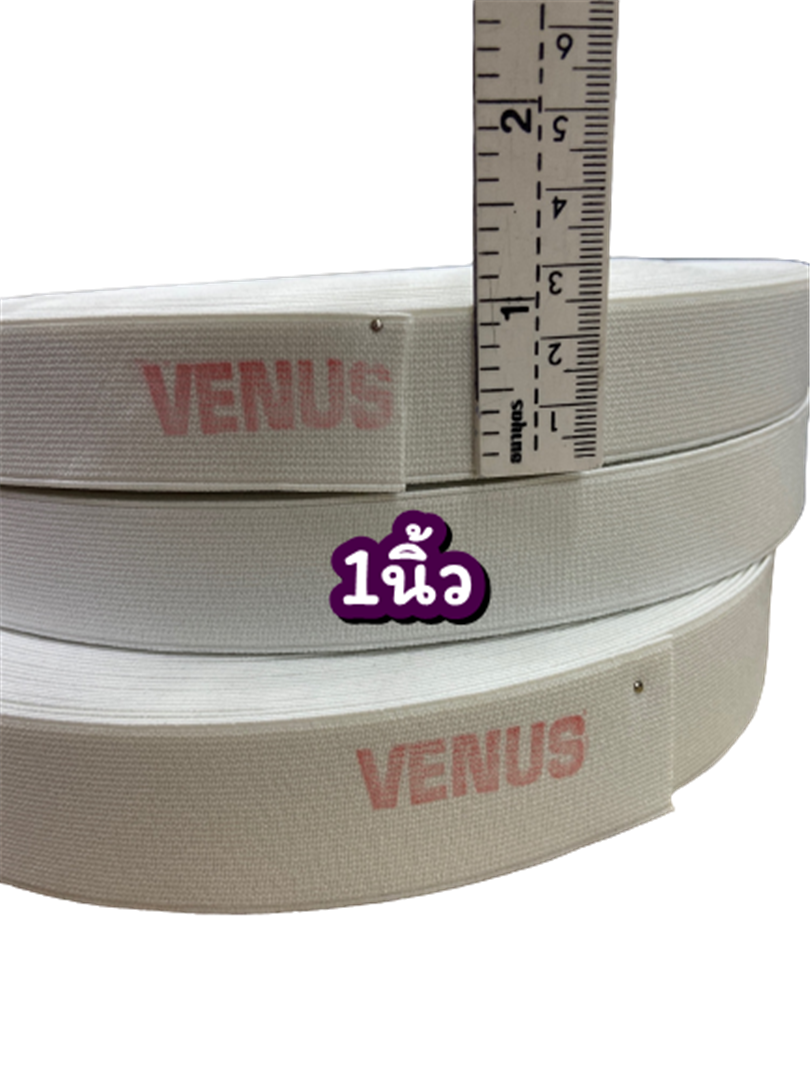 ยางยืด วีนัส Venus (1นิ้ว) ขาว และดำ