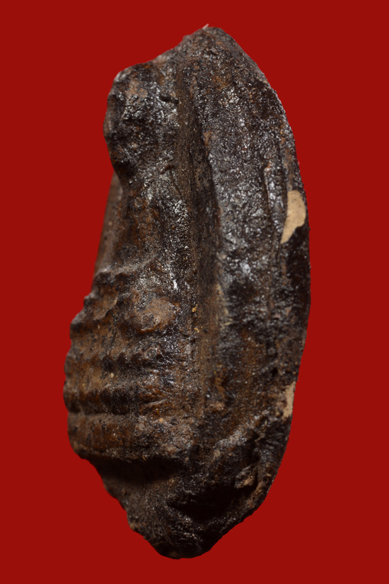 หลวงพ่อทวดเนื้อว่าน วัดสุวรรณคีรี พิมพ์รูปไข่ พ.ศ.2505