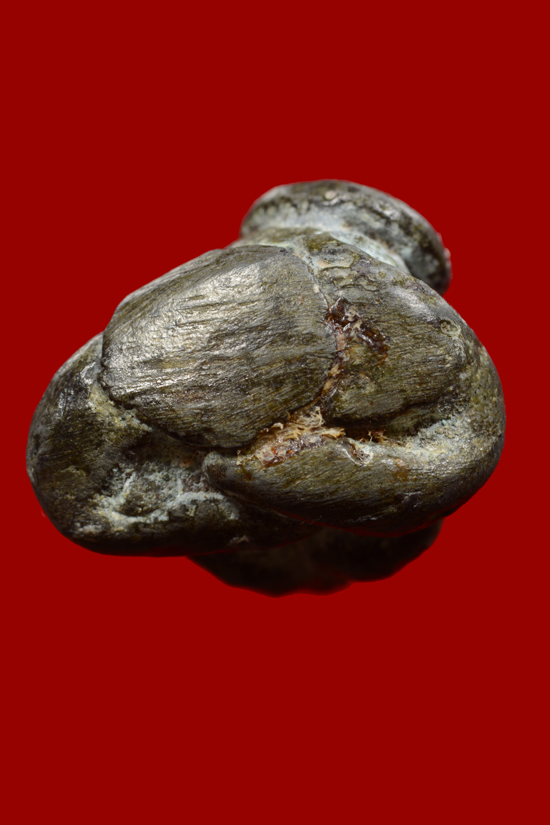 (สอบถาม) พระปิดตาหลวงพ่อแก่น วัดทุ่งหล่อ จ.นครศรีธรรมราช