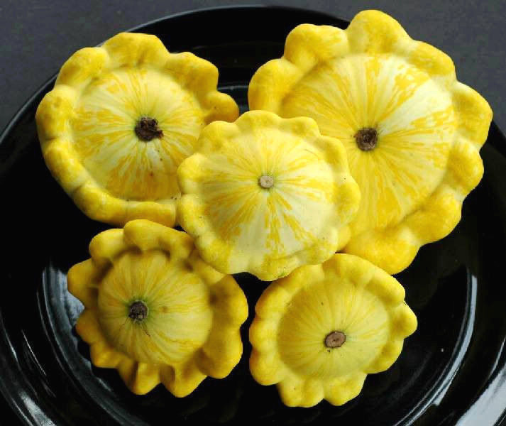 ฟักทองจานบินสีเหลือง - Golden Bush Scallop Squash