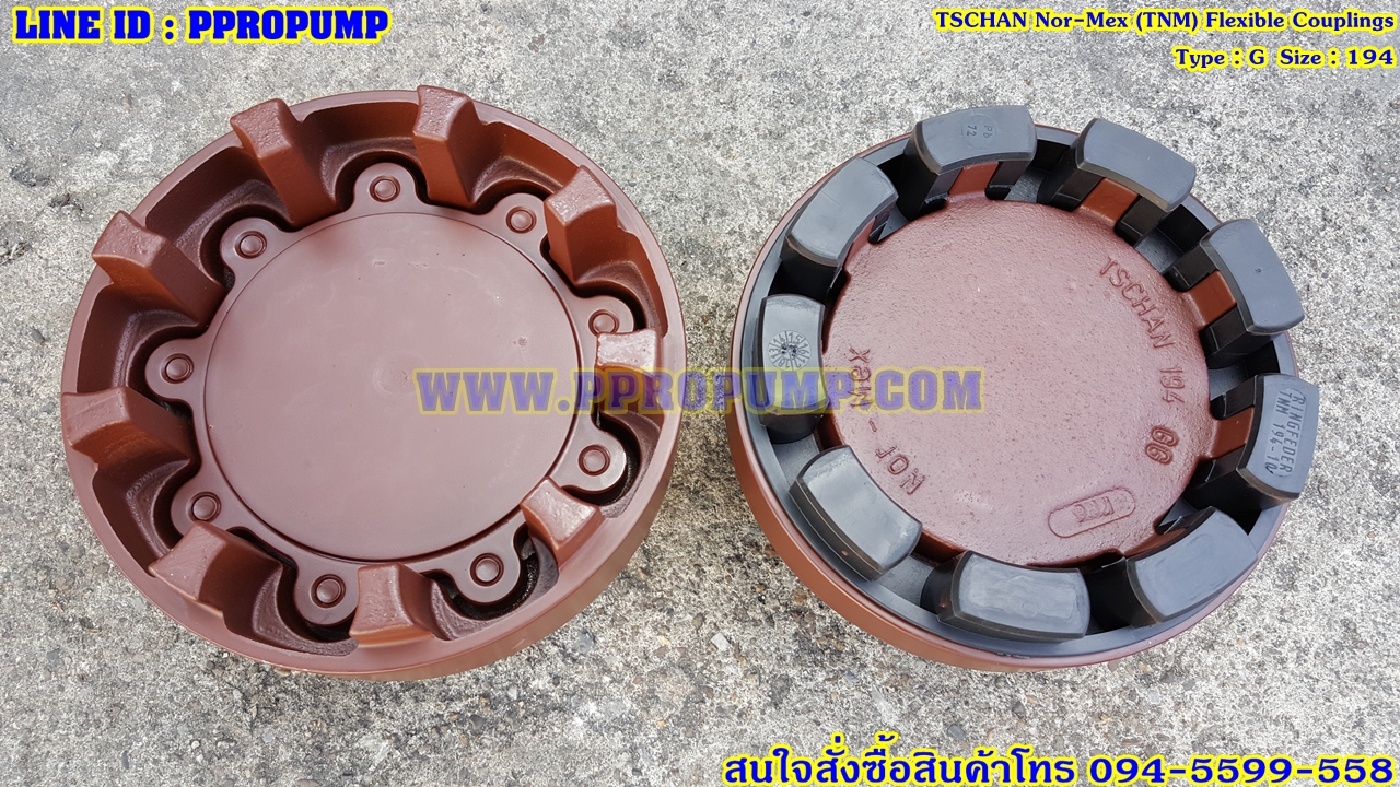 TSCHAN Nor-Mex Flexible Couplings Size : 194 Type : G