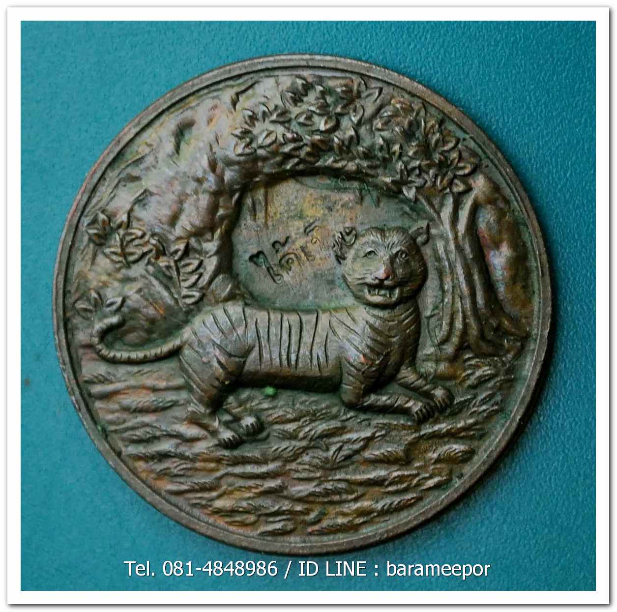 เหรียญพญาเสือนอนกิน รุ่นแรก ปี 2548 พระอาจารย์ประสูติ วัดในเตา จ.ตรัง..2