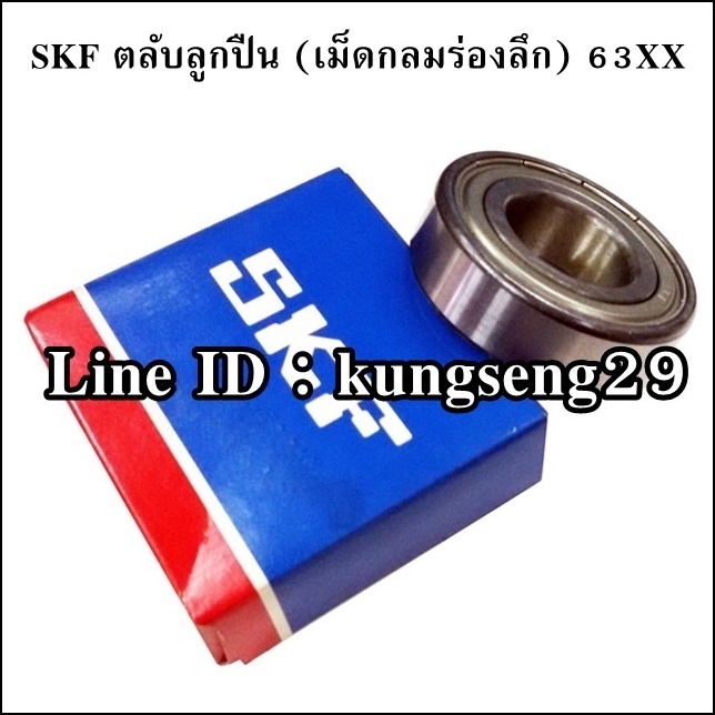ลูกปืน SKF #6300-6315