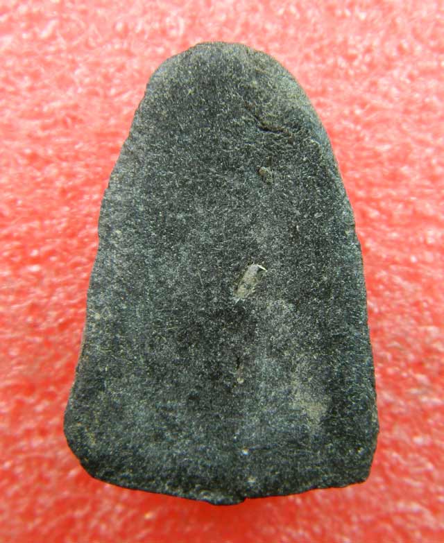 หลวงปู่ทวด รุ่นวิเศษ60 อาจารย์นอง วัดทรายขาว ปัตตานี ปลุกเสก ปี 2541 เนื้อว่านฝังเม็ดข้าวสารดำ พิมพ์ใหญ่ สร้างเพียง 1000 องค์ ขนาดพระสูงโดยประมาณ 2.5 ซม.