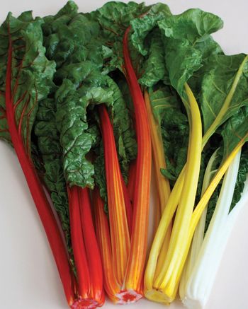 สวิสชาร์ตสีส้ม - Orange Swiss chard