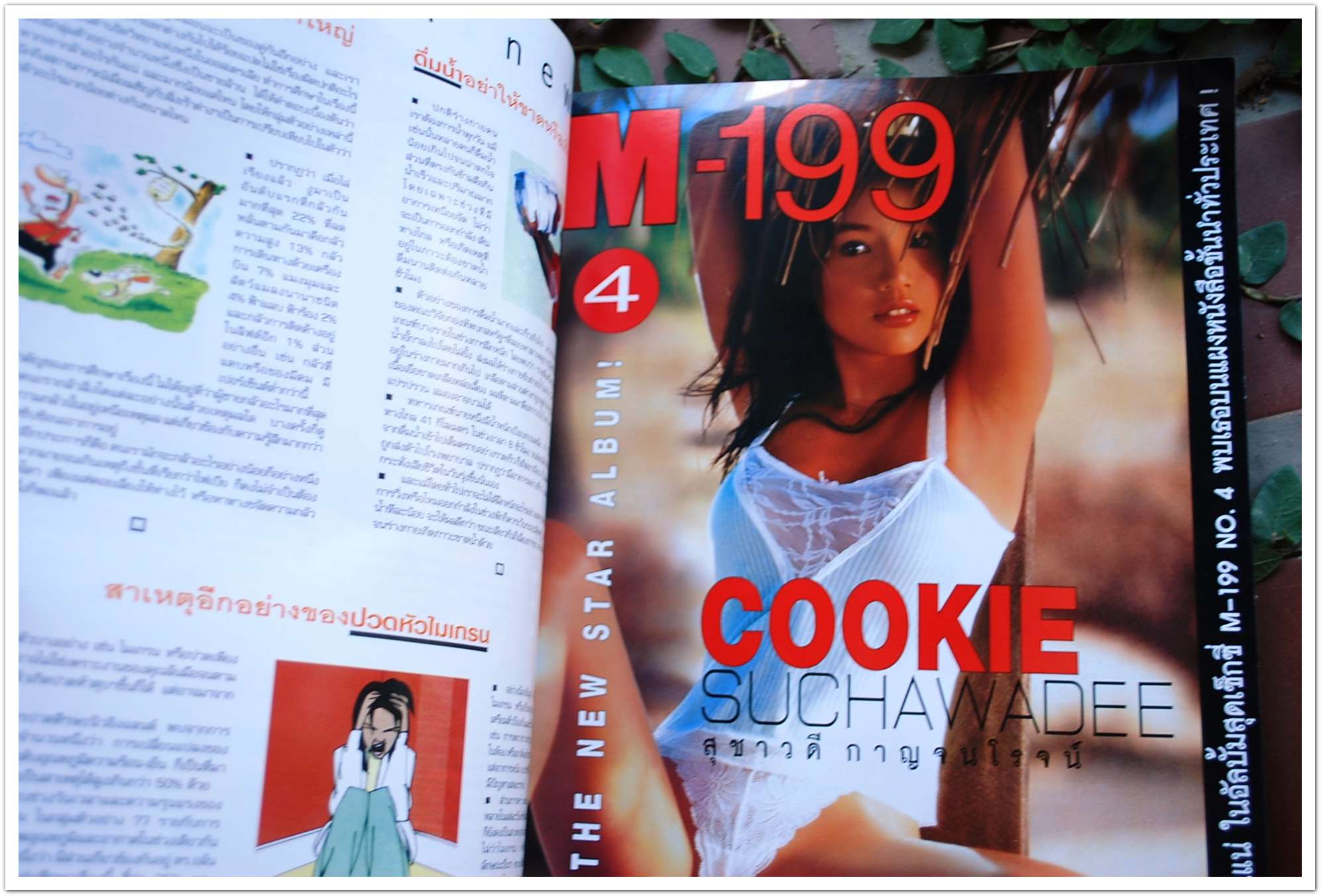 นิตยสาร M MODEL M.11