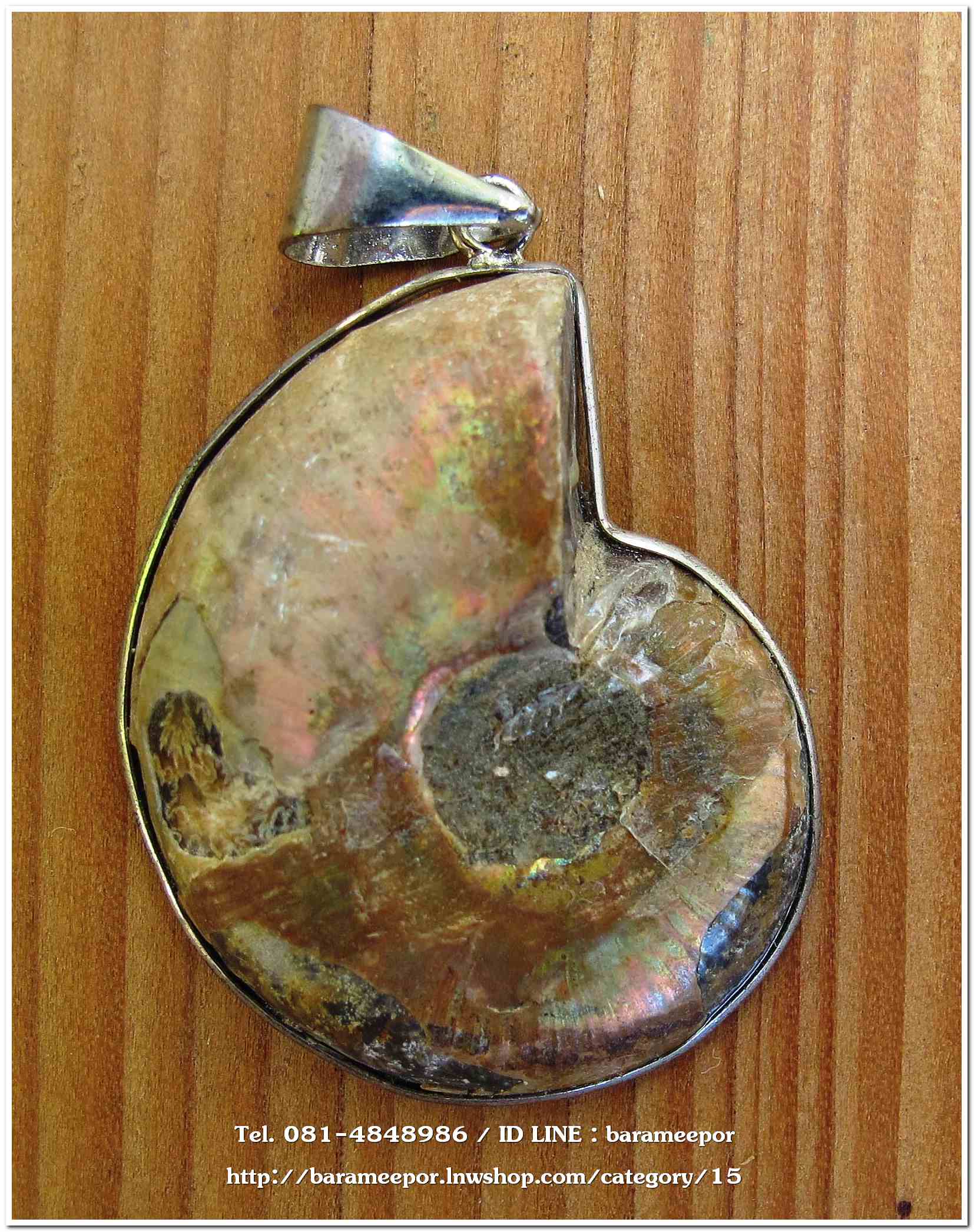 จี้ฟอสซิลหอยแอมโมไนต์ผ่าครึ่ง (Ammonite fossil Pendant) คัดสวย