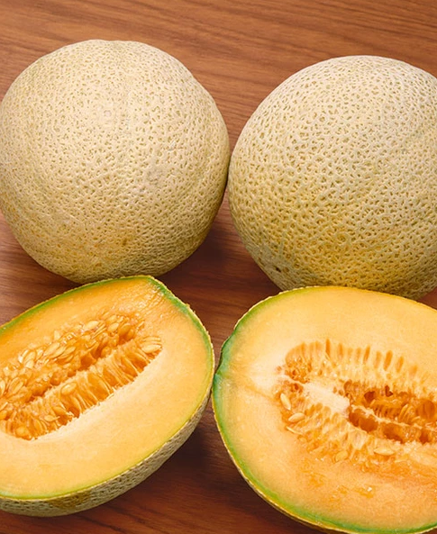 เมล่อน ฮันนี่ร็อค - Honey Rock Melon