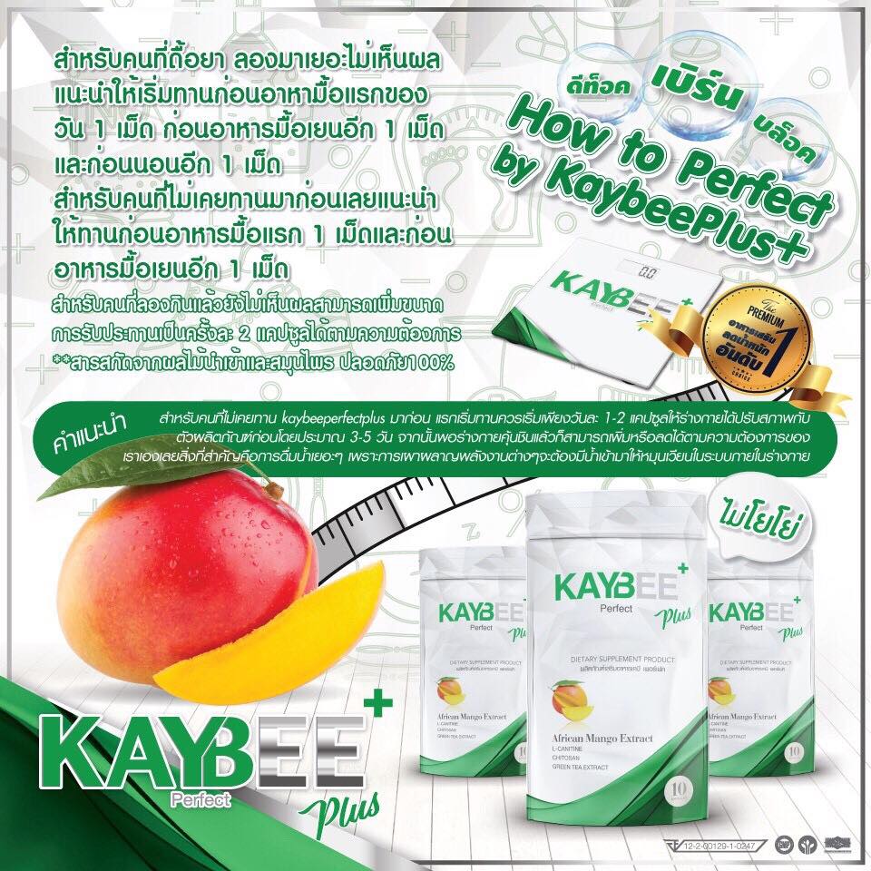 Kaybee Perfect Plus เคบี เพอร์เฟค พลัส