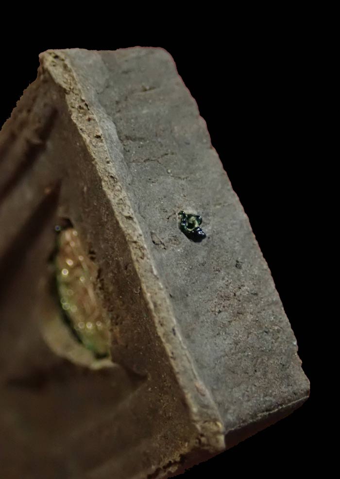 หลวงพ่อทวดเนื้อว่านดินกากยายักษ์ พิมพ์กลักไม้ขีดฝังตะกรุดเงิน (หลังตราแผ่นดิน) อาจารย์ทอง วัดสำเภาเชย ปี 2551 รุ่นพิทักษ์แผ่นดิน