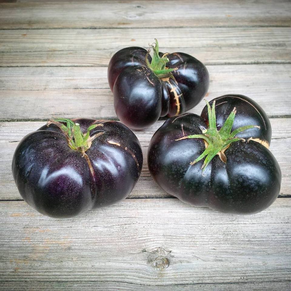 มะเขือเทศแบล็คบิวตี้ - Black Beauty Tomato