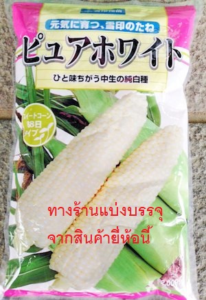 ข้าวโพดหวานทานดิบ เพรียวไวท์ ญี่ปุ่น F1