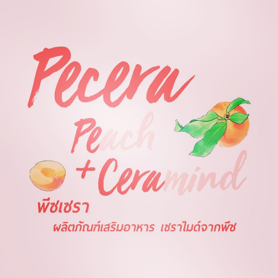 Pecera มาจากอะไร